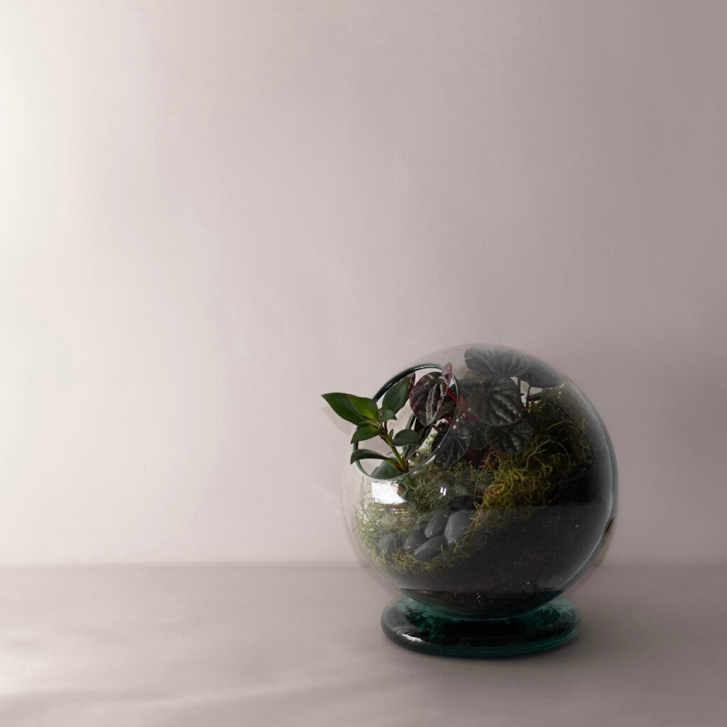 The Plant Project NZ