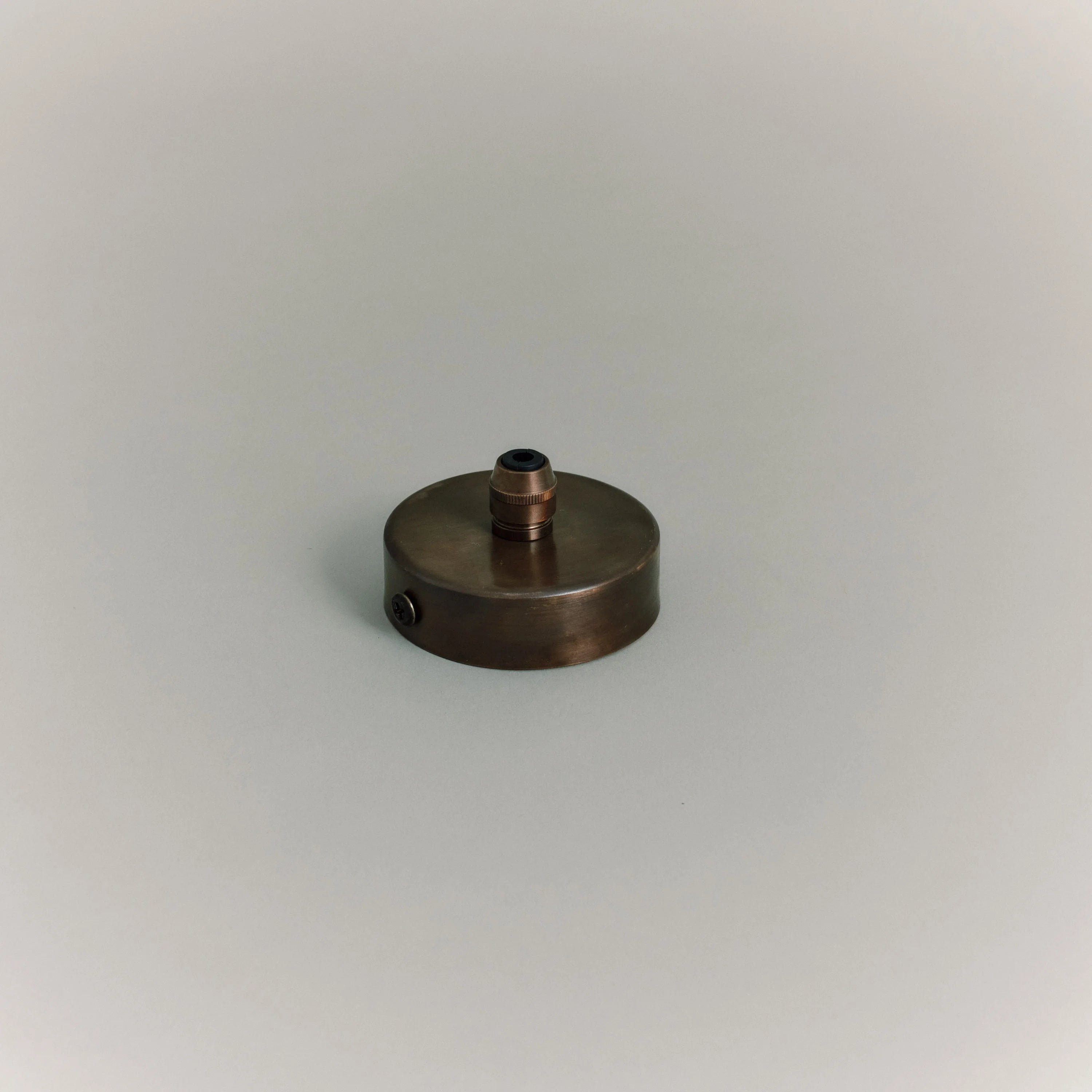 Antique Ceiling Rose