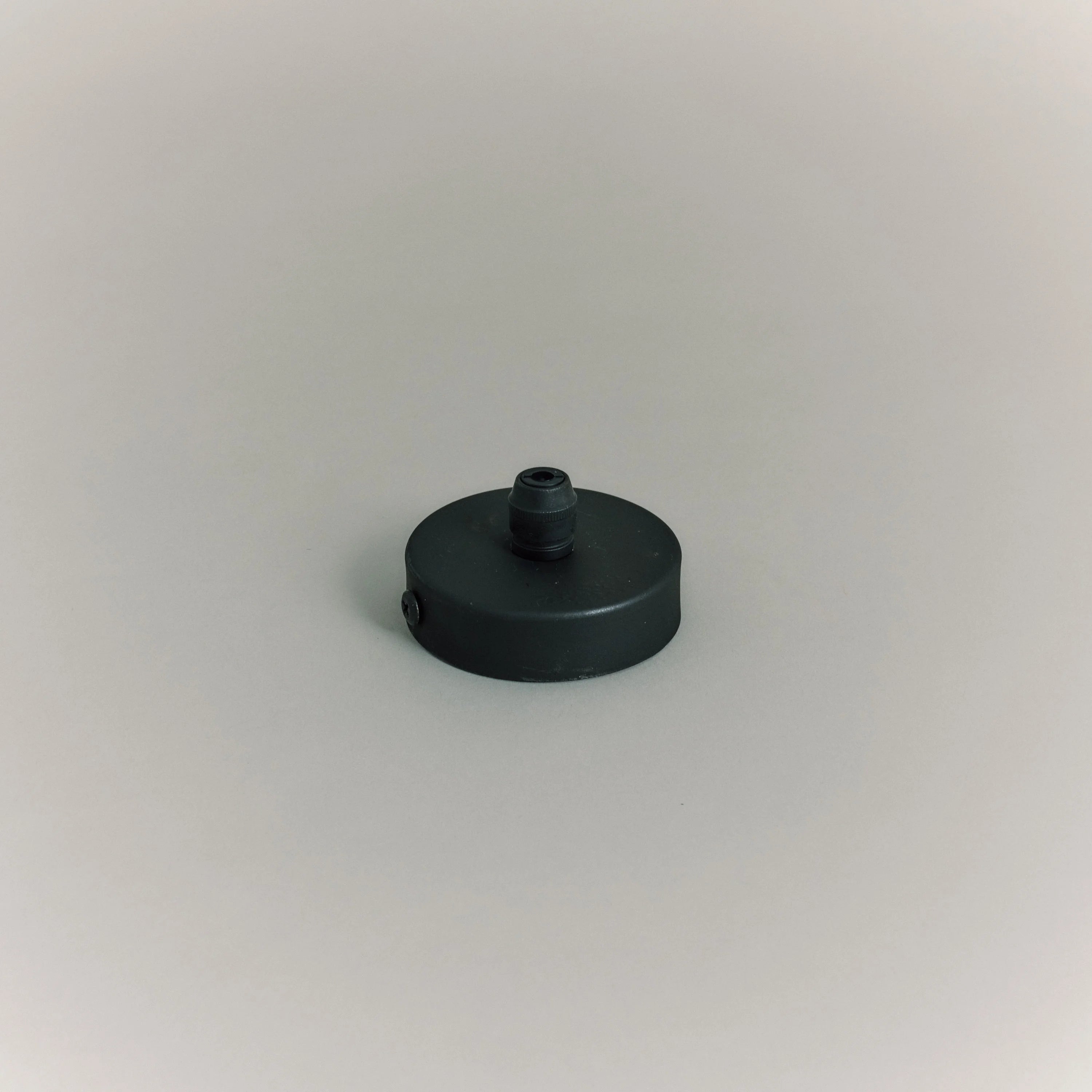 Black Ceiling Rose